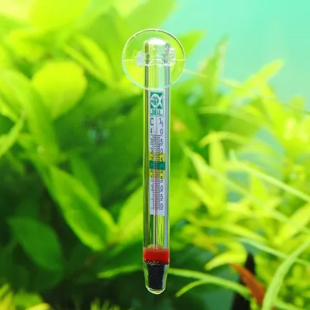 JBL - Float - Digitales Thermometer mit Saugnapf