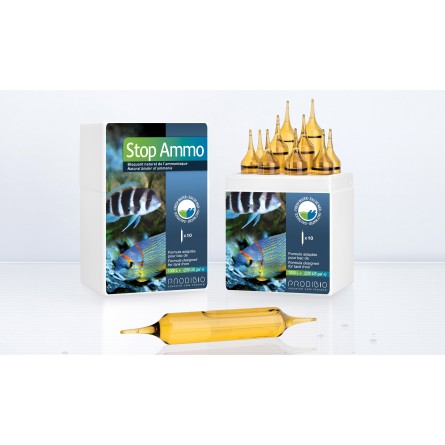 PRODIBIO - Stop Ammo Pro10 - 10 ampullen PRODIBIO - Stop Ammo Pro10 - 10 ampullen