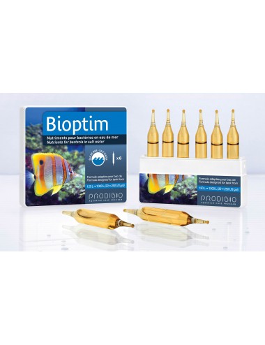 PRODIBIO - Bioptim 6 ampoules