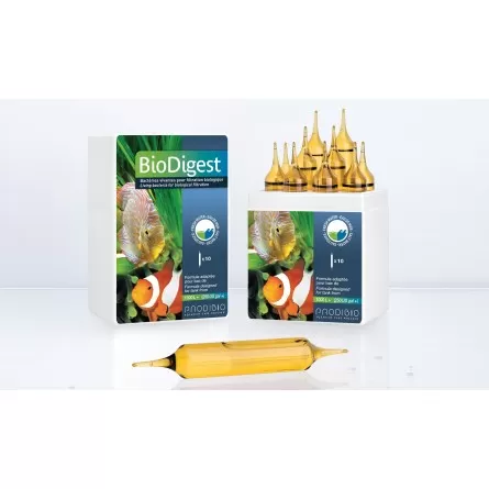 PRODIBIO - BioDigest Pro10 - 10 frascos