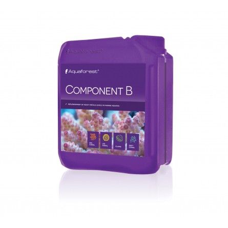AQUAFOREST – Komponente B – 2000 ml – Additiv für Schwermetalle AQUAFOREST – Komponente B – 2000 ml – Additiv für Schwermetalle