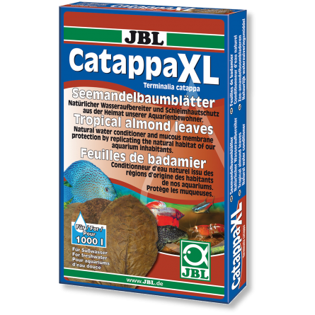 JBL - Catappa XL - 10 Feuilles de badamier pour aquariums d'eau douce JBL - Catappa XL - 10 Feuilles de badamier pour aquariums d'eau douce
