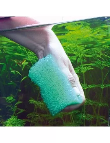 JBL - Spongi - Esponja de limpieza para acuarios y terrarios