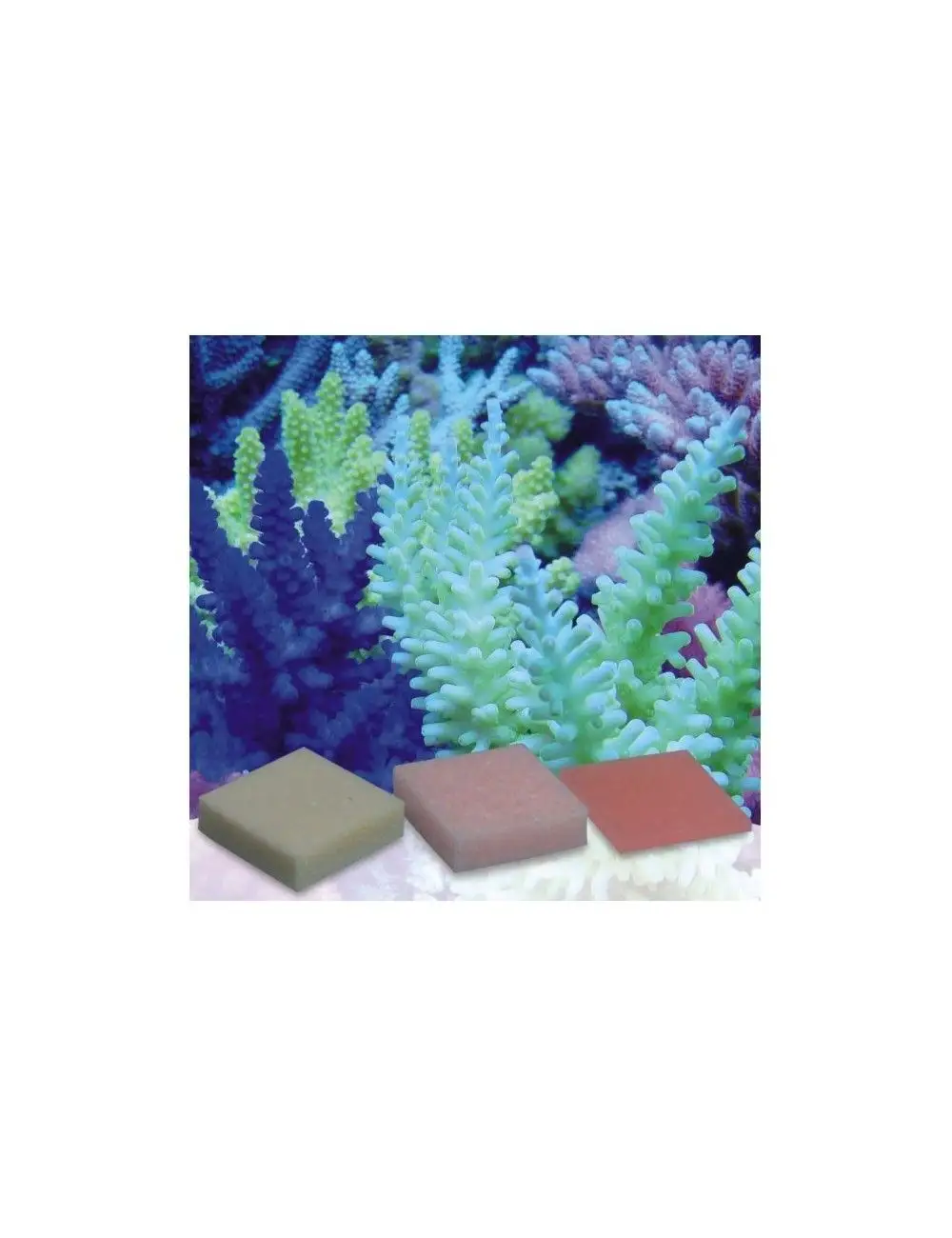 KORALLEN-ZUCHT Automatic Elements K-Balance (5 tablettes) KORALLEN-ZUCHT Automatic Elements K-Balance (5 tablettes)