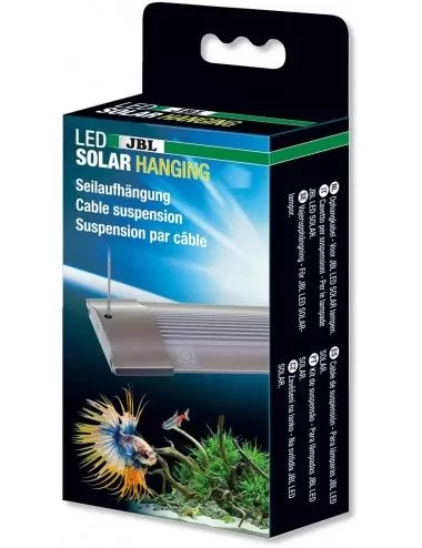 Éclairage optimal pour aquarium : lampe LED performante