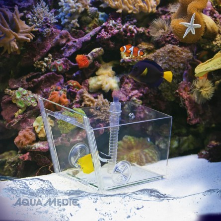 AQUA MEDIC - Nassa per pesci - Trappola per la cattura del pesce AQUA MEDIC - Nassa per pesci - Trappola per la cattura del pesce