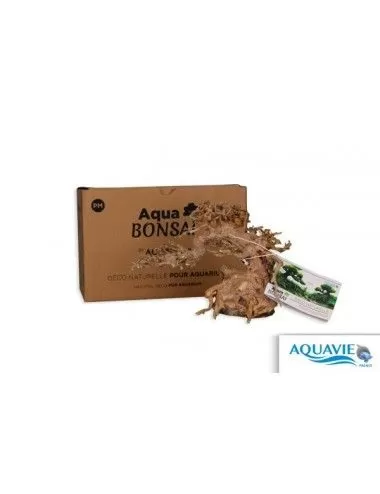 AQUAVIE - Aqua Bonsaï pour aquarium - taille M