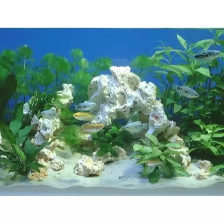 Pierres légères et empilables en céramique pour décors d'aquarium