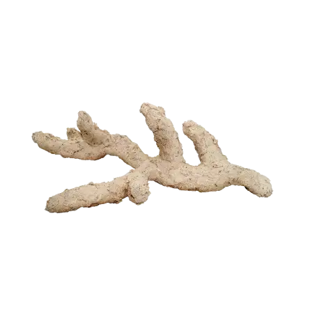 ARKA - Reffast Natur Branch - 30cm ARKA - Reffast Natur Branch - 30cm