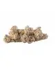 ARKA - Piatto Reef - 30x20cm - Sasso in ceramica ARKA - Piatto Reef - 30x20cm - Sasso in ceramica