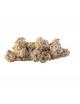 ARKA - Reef Plate - 30x20cm - Roche en céramique ARKA - Reef Plate - 30x20cm - Roche en céramique