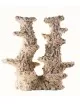 ARKA - Colonna Reef 2 rami - 40cm - Roccia in ceramica
