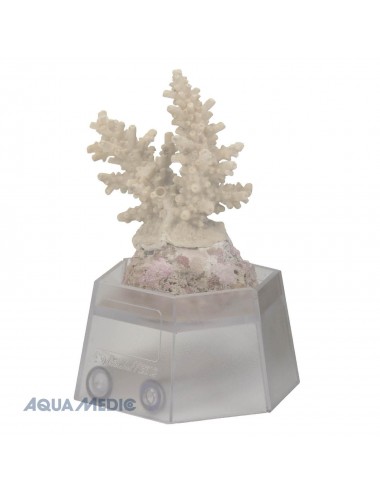 AQUA-MEDIC - Držalo za koral - Opora za rezanje koral