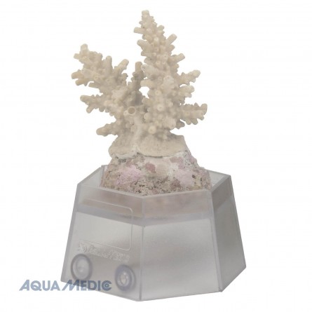 AQUA-MEDIC - Coral holder - Coral cutting holder AQUA-MEDIC - Coral holder - Coral cutting holder