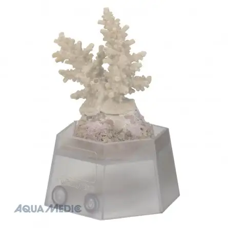 AQUA-MEDIC - Soporte para corales - Soporte para cortes de corales AQUA-MEDIC - Soporte para corales - Soporte para cortes de corales