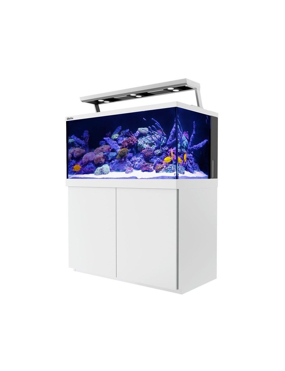 Acheter un éclairage pour aquarium - Achat en ligne - Aquariophilie &  Aquascaping - Aquarium & Bassin