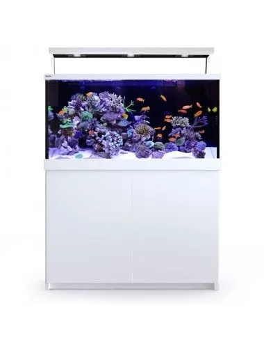 RED SEA - Aquarium Max® S-500 + LED 3x ReefLeds - White cabinet - 500 liters