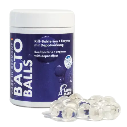 FAUNA MARIN - Bacto Reef Balls - 100ml - Aquarium bacteria FAUNA MARIN - Bacto Reef Balls - 100ml - Aquarium bacteria