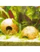 JBL - Cocos Cava - 1/2 L - Coconut shells for aquariums and terrariums