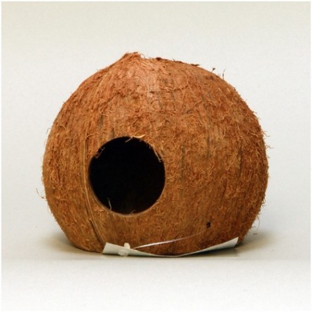 JBL - Cocos Cava - 3/4 L - Kokosove ljuske za akvarije i terarije JBL - Cocos Cava - 3/4 L - Kokosove ljuske za akvarije i terarije