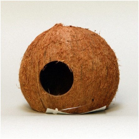 JBL - Cocos Cava - 3/4 L - Coques de noix de coco pour aquariums et terrariums