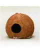 JBL - Cocos Cava - 3/4 L - Coques de noix de coco pour aquariums et terrariums JBL - Cocos Cava - 3/4 L - Coques de noix de coco pour aquariums et terrariums