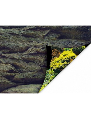 AQUA NOVA - Plakat za ozadje kamen/rastlina - 60x30cm