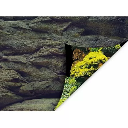 AQUA NOVA – Poster mit Fels-/Pflanzenhintergrund – 100 x 50 cm