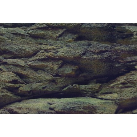 AQUA NOVA – Poster mit Fels-/Pflanzenhintergrund – 100 x 50 cm
