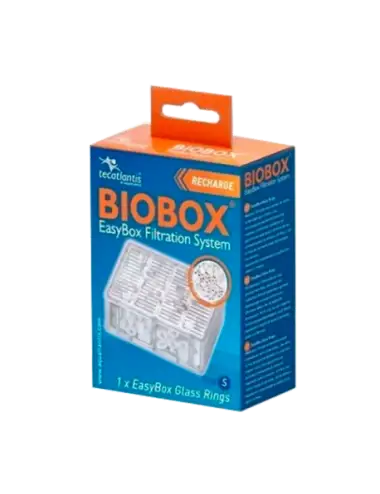 AQUATLANTIS - EasyBox® Glass Ring (Noodle) - Velikost S