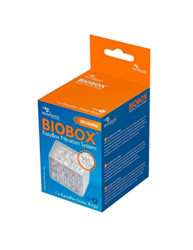 AQUATLANTIS - EasyBox® Glass Ring (Nouille) - Taille L