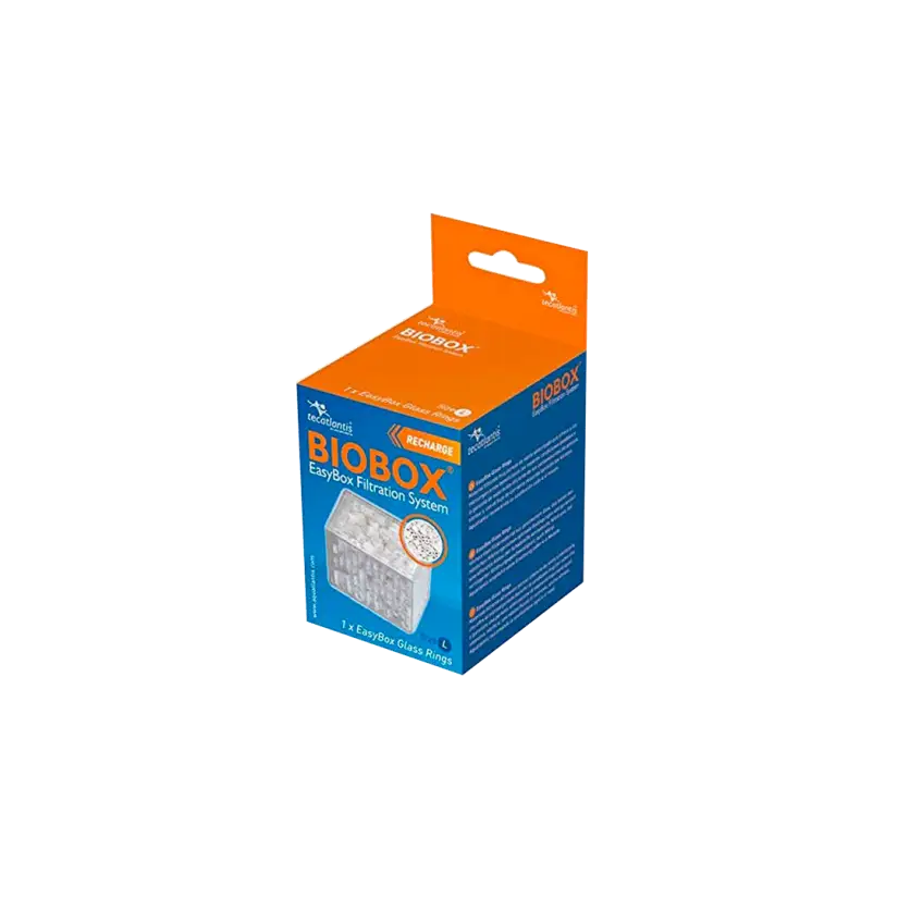 AQUATLANTIS - EasyBox® Glass Ring (Noodle) - Size L