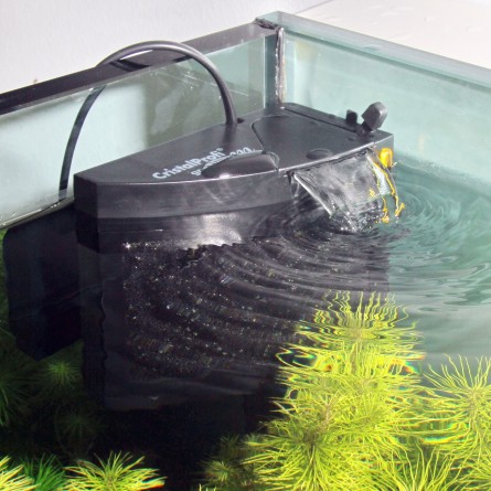 JBL - Filtre CristalProfi m greenline - Filtre interne pour aquarium de 20 à 80 litres