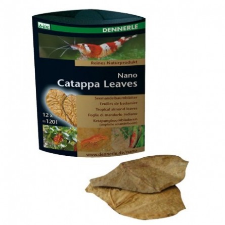 DENNERLE - Folhas de Catappa Nano - 12 unidades - Folhas de amêndoa Dennerle - 1 DENNERLE - Folhas de Catappa Nano - 12 unidades - Folhas de amêndoa Dennerle - 1