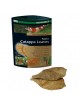 DENNERLE - Folhas de Catappa Nano - 12 unidades - Folhas de amêndoa Dennerle - 1 DENNERLE - Folhas de Catappa Nano - 12 unidades - Folhas de amêndoa Dennerle - 1