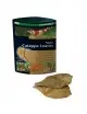 DENNERLE - Hojas de Catappa Nano - 12 Piezas - Hojas Dennerle Badamier - 1 DENNERLE - Hojas de Catappa Nano - 12 Piezas - Hojas Dennerle Badamier - 1