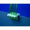 AQUACONNECT - Bevestigingssteun voor doseerpompleidingen AQUACONNECT - Bevestigingssteun voor doseerpompleidingen