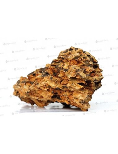AQUADECO - Dragon Stone - Velikost S - 0,8 - 1,2 kg
