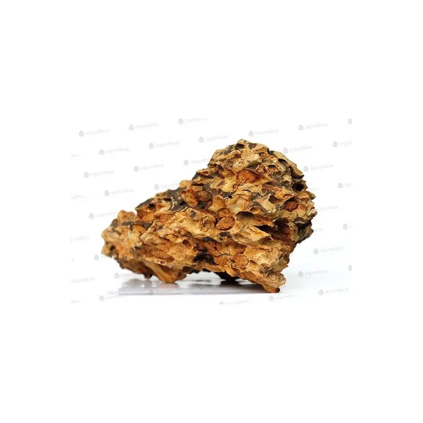 AQUADECO - Dragon Stone - Taille L - 4.5 - 5.5 kg