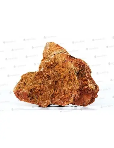 AQUADECO - Maple Leaf - Taille S - 0.8 - 1.2 kg