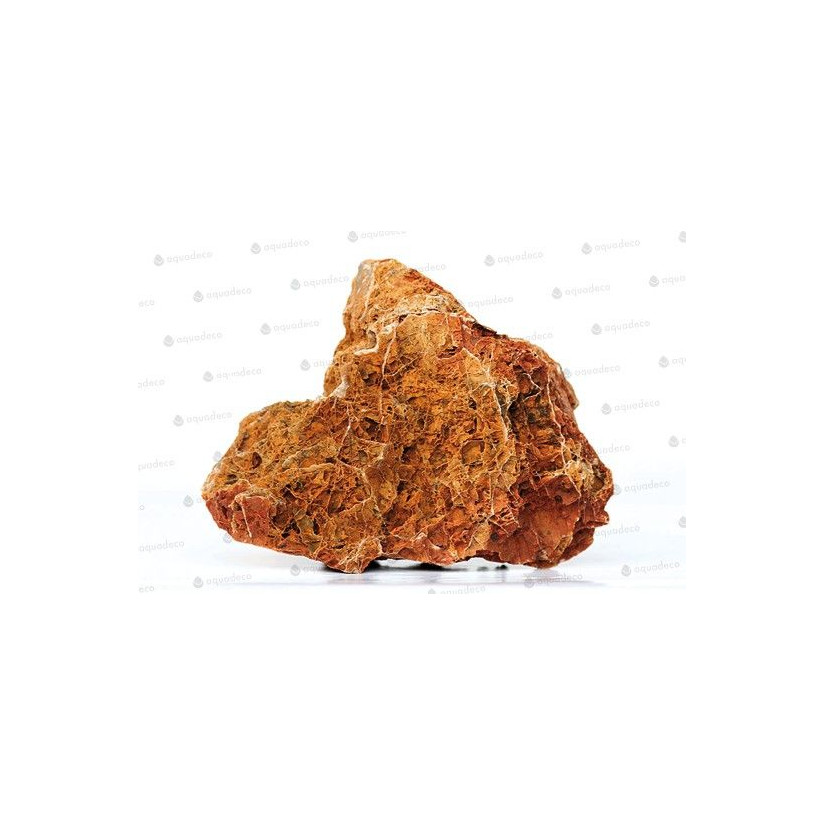 AQUADECO - Maple Leaf - Taille S - 0.8 - 1.2 kg