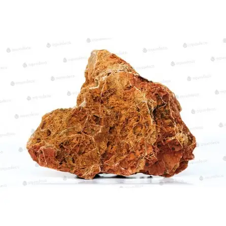 AQUADECO - Foglia d'acero - Taglia S - 0,8 - 1,2 kg AQUADECO - Foglia d'acero - Taglia S - 0,8 - 1,2 kg