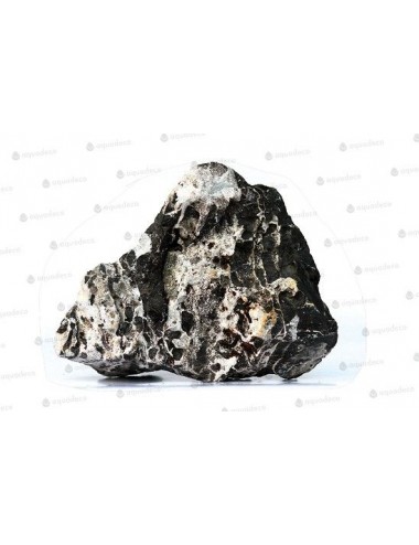 AQUADECO - Leopard Rock - Size S - 0.8 - 1.2 kg