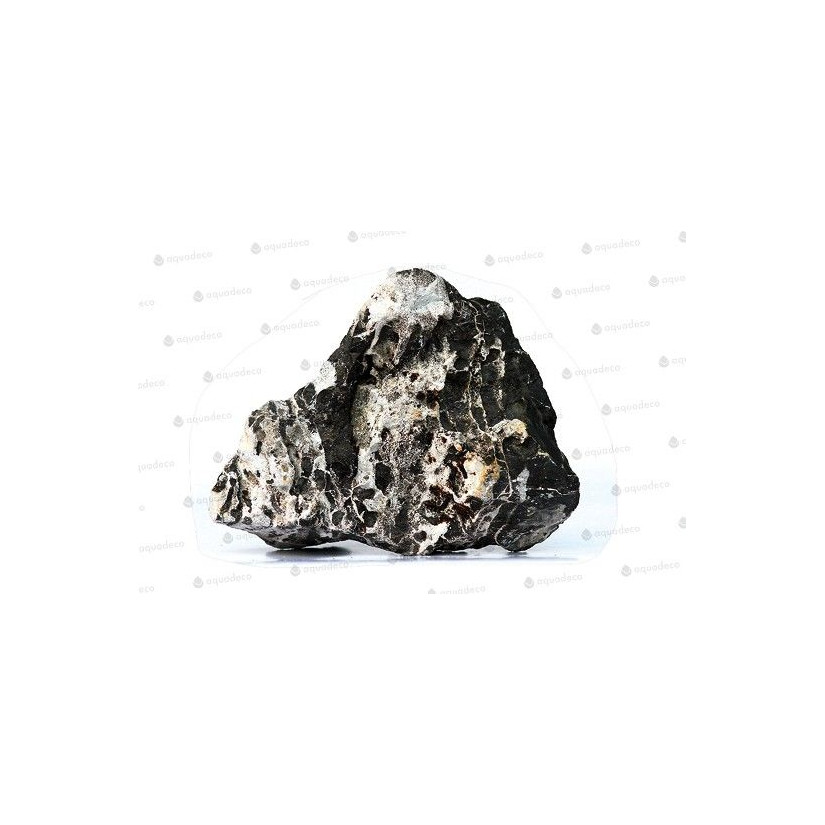 AQUADECO - Luipaard Rock - Maat S - 0,8 - 1,2 kg