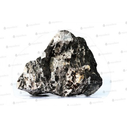 AQUADECO - Leopard Rock - Taille S - 0.8 - 1.2 kg