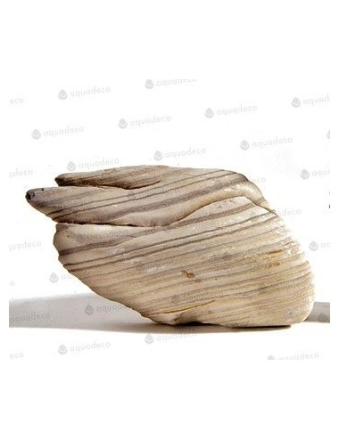 AQUADECO - Goby Rock - Größe S - 0,8 - 1,2 kg