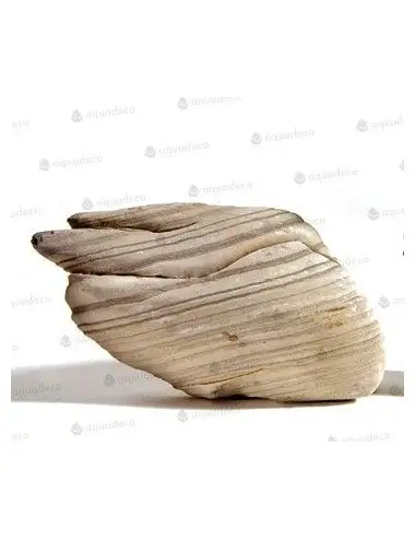 AQUADECO - Roca Gobio - Talla S - 0,8 - 1,2 kg