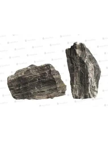 AQUADECO - Zebrastein - Größe S - 0,8 - 1,2 kg