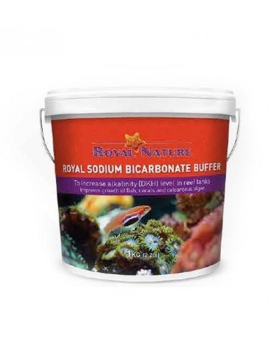 ROYAL NATURE - Bicarbonate de Soude - 1kg