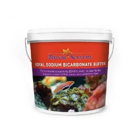 ROYAL NATURE - Bicarbonate de Soude - 4kg